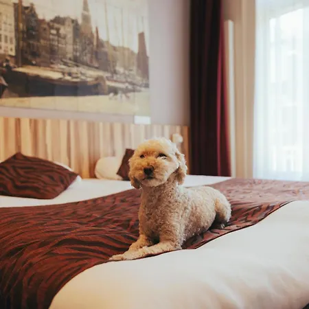 Asterisk, A Family Run Hotel