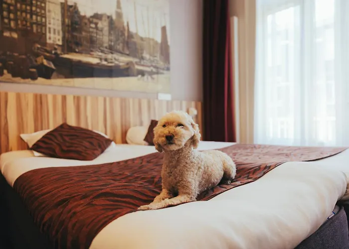 Boutique Asterisk, A Family Run Hotel