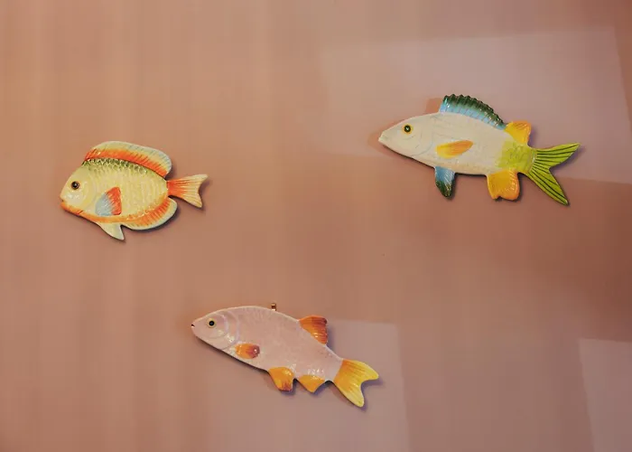 Boutique Asterisk, A Family Run Amsterdam